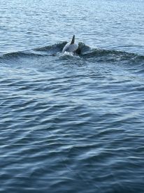 Beautiful experience 