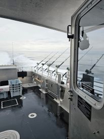 Interior view of a fishing boat showcasing the helm area and fishing rod holders, with a calm sea in the background.