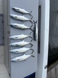 Great addition to a bachelor party weekend!