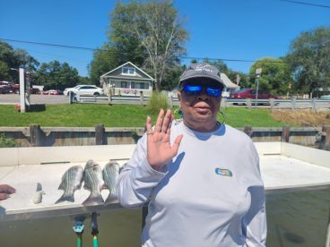 An angler proudly displaying her catch of striped bass at the dock, showcasing a successful fishing trip.