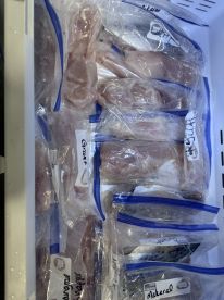 Book the trip, you won't regret it! Female Friendly!