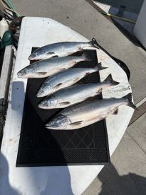 Fishing with Capt. Paul