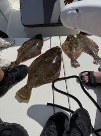A selection of Flounder laid out on the deck of a boat, showcasing a successful fishing trip.