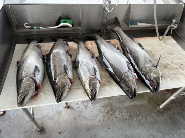 Half day trip with Captain Ethan 