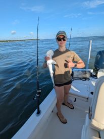 Sharks? Did you say sharks?