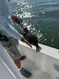 Captain goes out of his way to make sure there are fish in the boat 