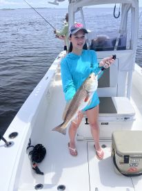 Lots of fish good with kids 