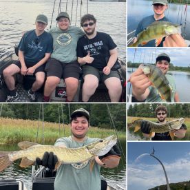 Accommodating, friendly, and professional.