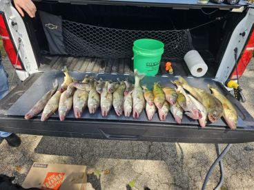 Walleye Trip 
