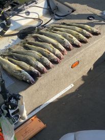 Caught limit both days