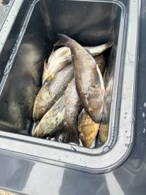 2nd trip. Same great experience