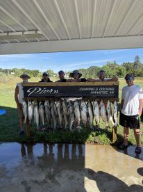 A group of anglers proudly displaying their catch of salmon on a catch board at Pier 31 in Manistee, MI.