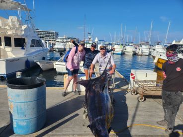 A group of anglers proudly displaying a large Marlin at the marina after a successful fishing trip.
