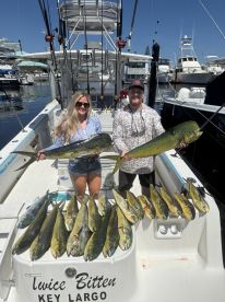 Excellent in every aspect