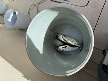 No help or conversation 