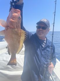 Play the Perfect Hand, with Aces Up. Way Up!