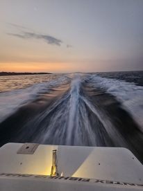 Great family charter