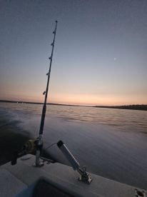 Great family charter