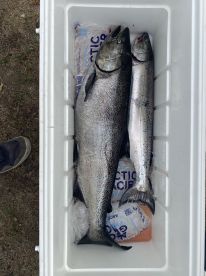 5 stars all around ! book a trip ! DO IT 