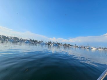 Easy Seamless Transaction 