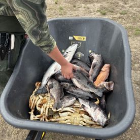 Great trip, salmon and crab real slow, rock fishing great!