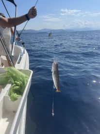 An angler reeling in a fish while fishing on a boat in open water, showcasing the excitement of the catch.