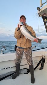 Expert and hard working crew.