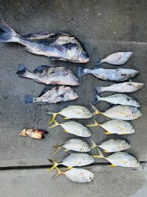 Knowledgeable and friendly captain