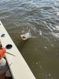 Great experience on the Carolina Rig