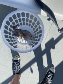 Great company to go fishing with. 