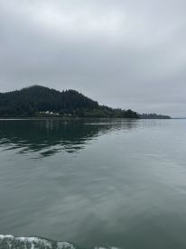 A serene view of a fishing boat on calm waters, surrounded by lush green hills and overcast skies, showcasing the tranquil fishing environment.