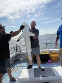 What a Day\u2b50\ufe0f