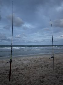 An Unforgettable Shark Fishing Adventure!