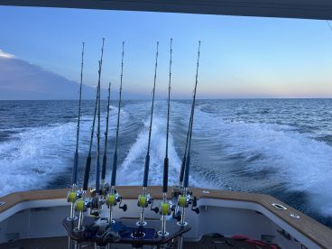 Great Trip, Highly Recommend