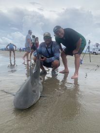 Two anglers proudly displaying a caught shark on the beach, surrounded by a lively group of beachgoers.