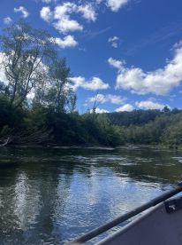 Scenic view of a river surrounded by lush greenery and a clear blue sky, taken from the side of a fishing boat.
