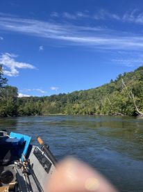 A scenic view of a fishing boat on a river, surrounded by lush greenery and a clear blue sky, showcasing a peaceful fishing environment.