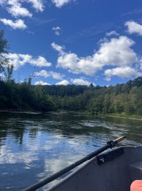 Scenic view from a boat on a calm river, surrounded by lush greenery and a clear blue sky, perfect for a peaceful fishing experience.