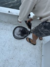 An angler is in the process of landing a fish from a net while on a boat, showcasing the excitement of fishing in a coastal environment.