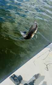 Unforgettable Fishing Trip \ud83c\udfa3 