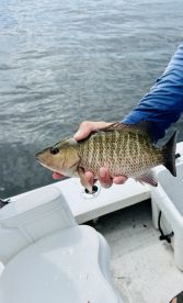 Unforgettable Fishing Trip \ud83c\udfa3 