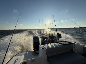 5 stars and then some!!! 