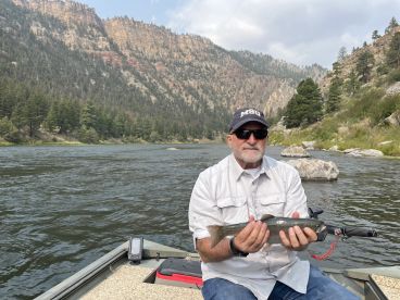 Caught Rainbows on the fly