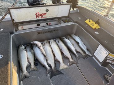 A collection of freshly caught fish, likely Lake Trout, stored in the cooler of a Ranger boat, showcasing a successful fishing trip.