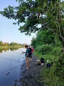 Determine the details and get confirmation