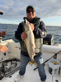 Bruce and Mark and a lot of fun