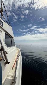 Captain and Crew \u2b50\u2b50\u2b50\u2b50\u2b50