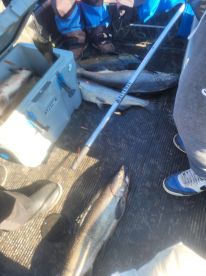 salmon trip with son..