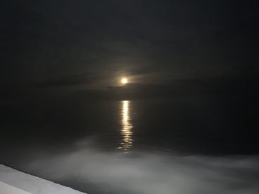 Trip of a lifetime!!!