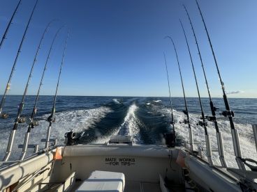 View from the boat's interior showcasing multiple fishing rods as it navigates through calm waters, ideal for deep-sea fishing.